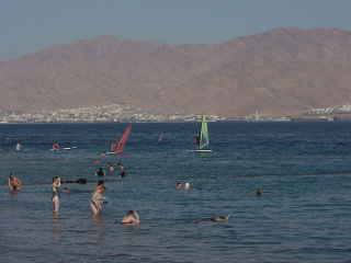 Windsurfers